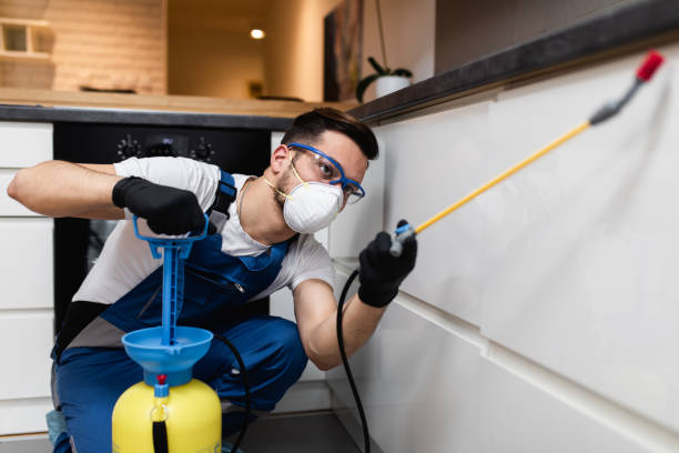 Best Pest Prevention Services  in Mcgregor, TX