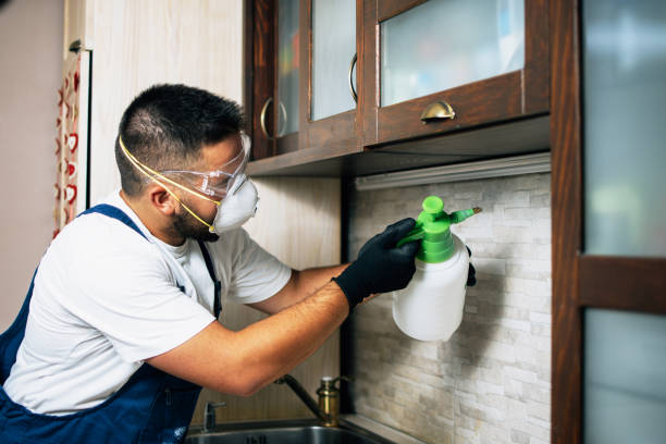 Best Pest Control for Businesses  in Mcgregor, TX