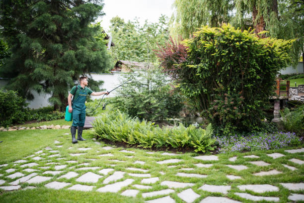 Best Pest Inspection Near Me  in Mcgregor, TX