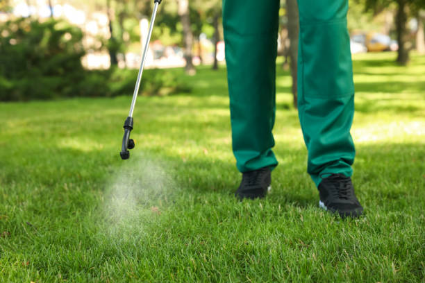 Best Pest Control Near Me  in Mcgregor, TX
