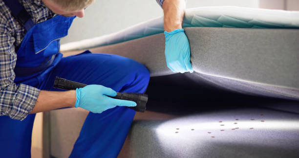 Best Pest Control Near Me  in Mcgregor, TX
