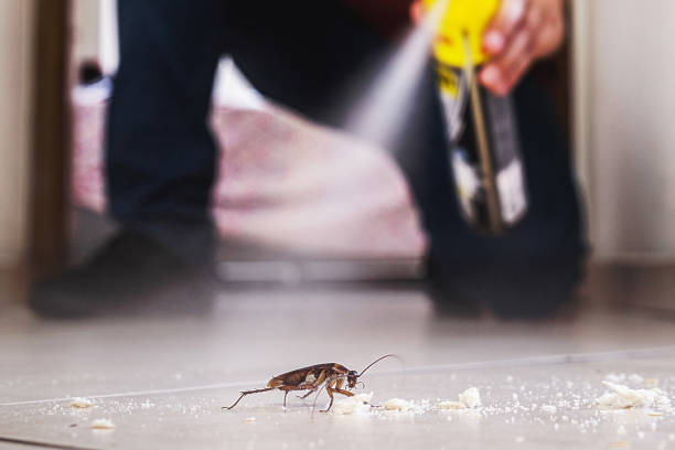 Best Residential Pest Control  in Mcgregor, TX