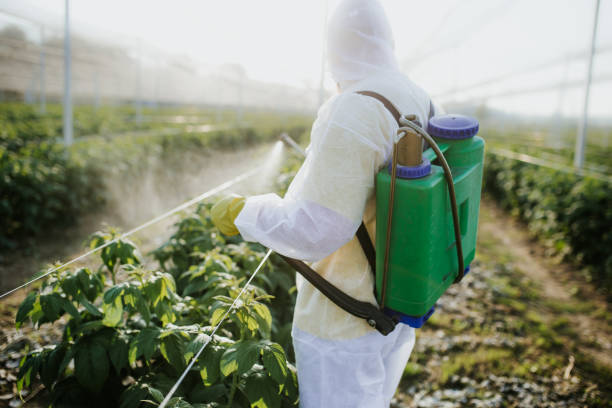 Pest Prevention Services in Mcgregor, TX